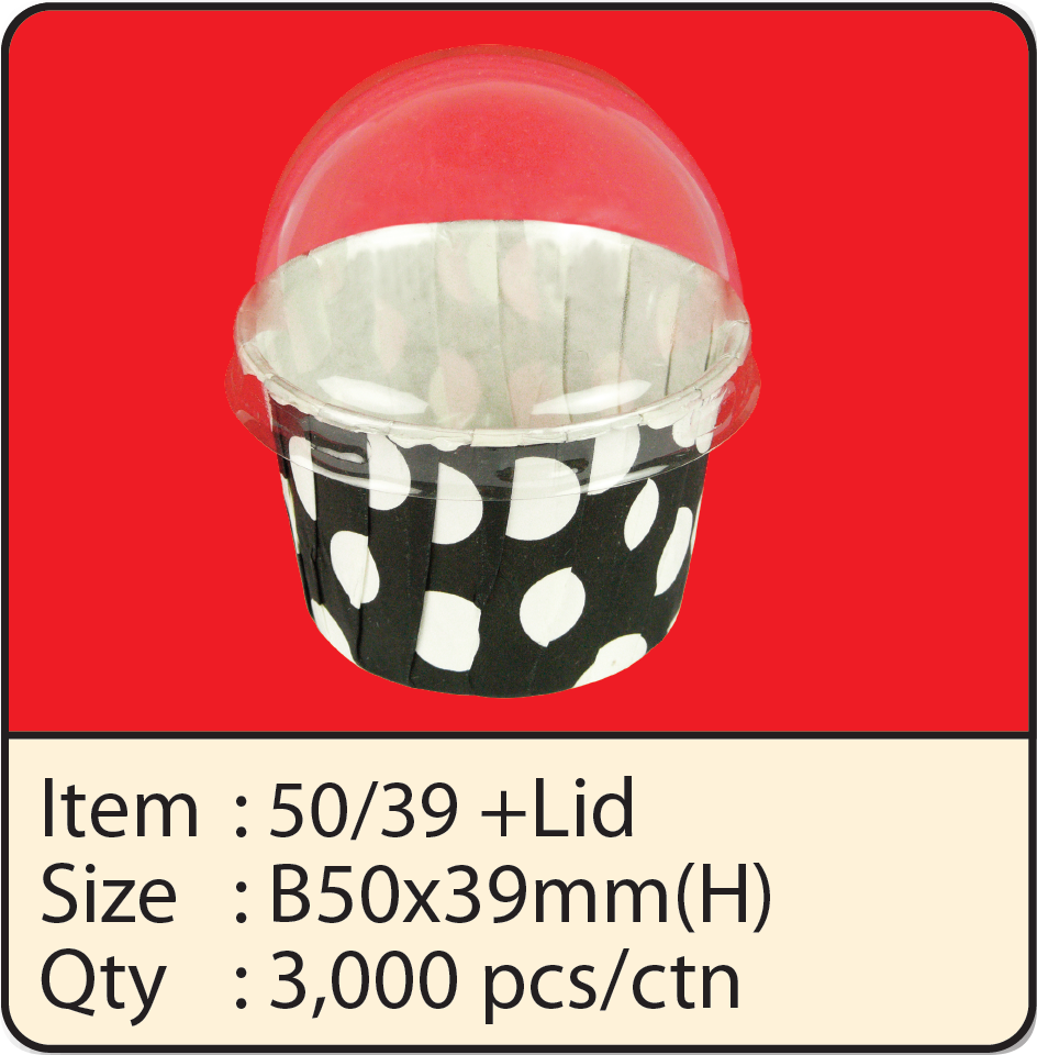 5039+LID1.png