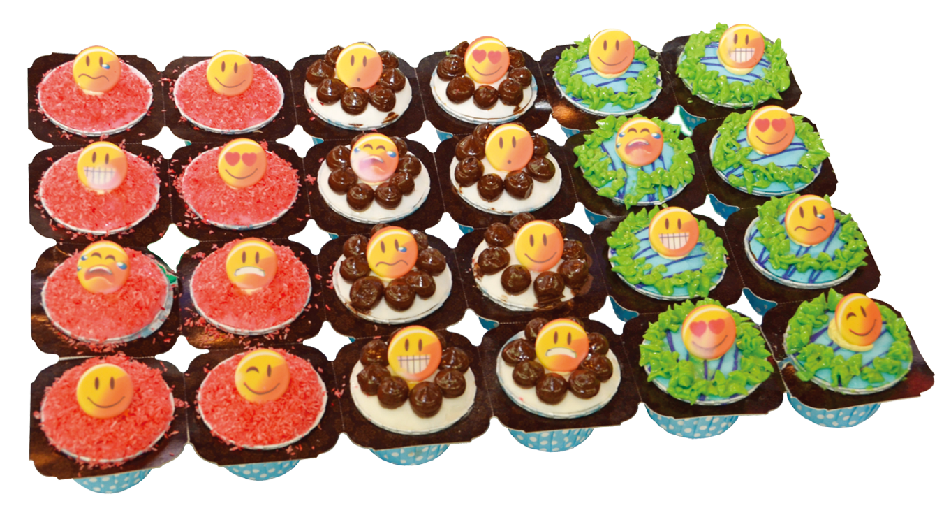 50x39-24PCS-1.png