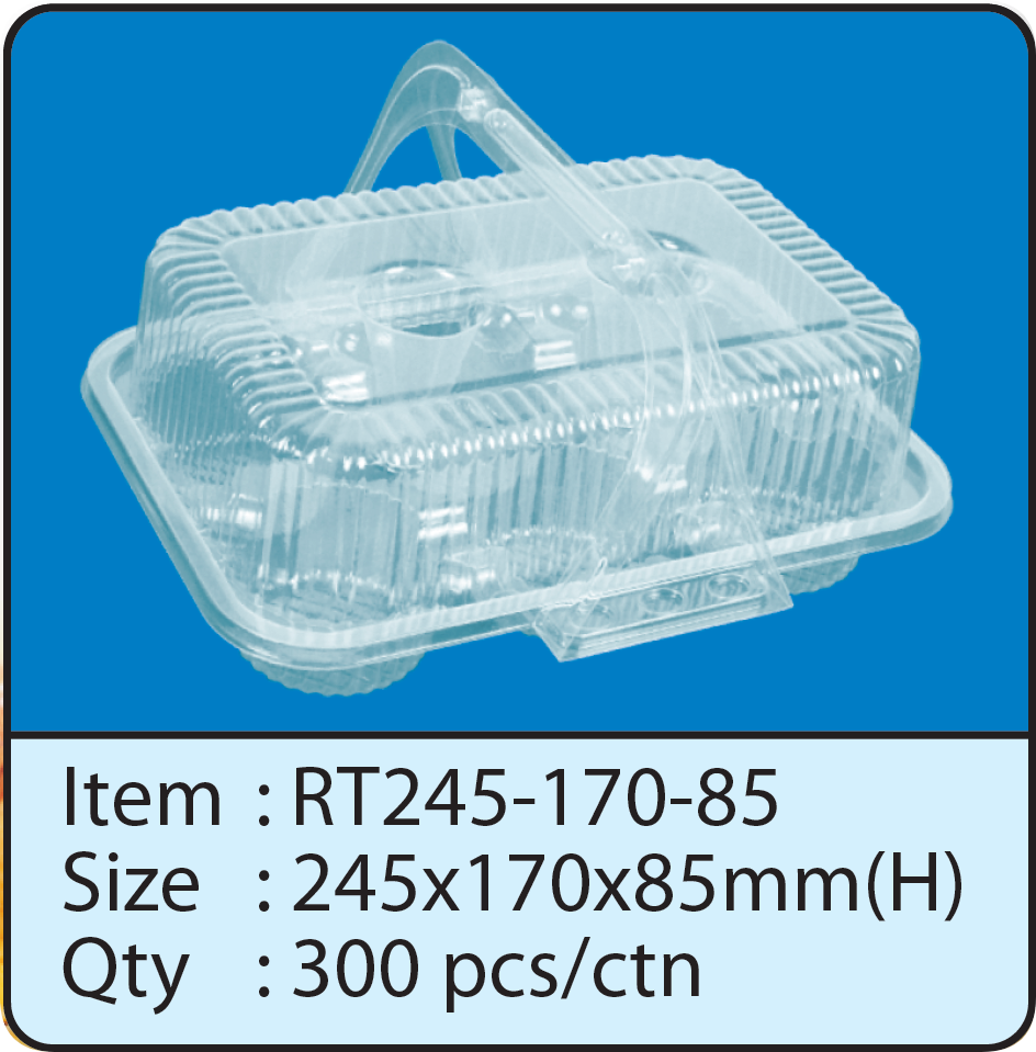RT245-170-85.png