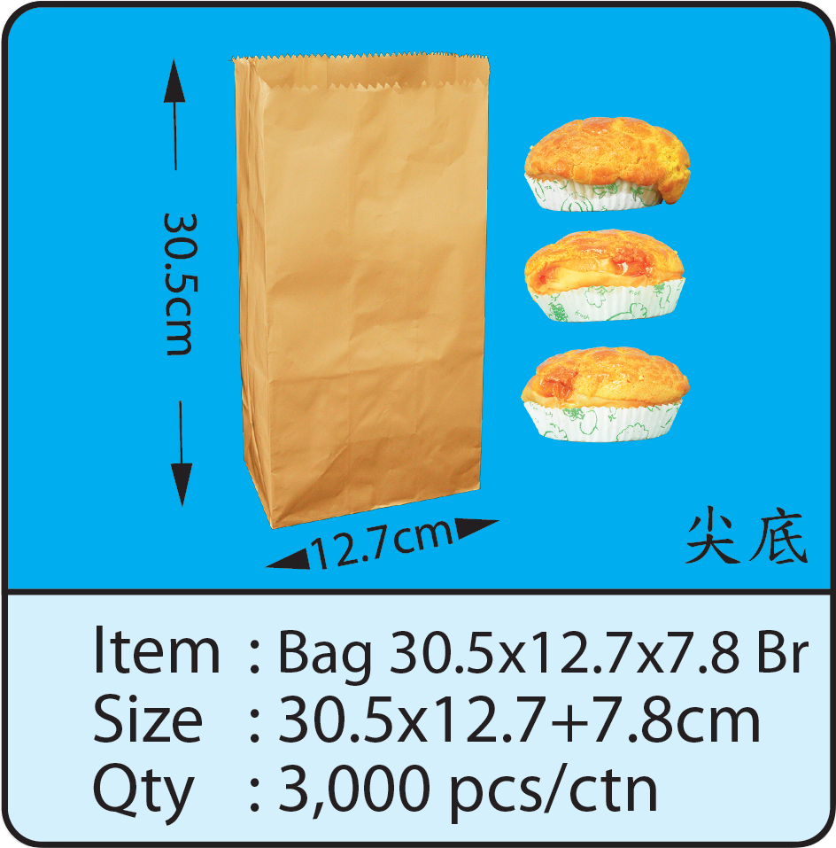 Bag 30.5x12.7x7.8 Br.png